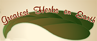 logo from Dottie, Greatest Herbs On Earth